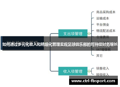 如何通过多元化收入和精细化管理实现足球俱乐部的可持续财务增长