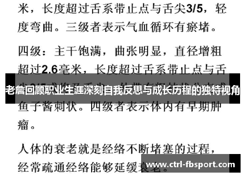 老詹回顾职业生涯深刻自我反思与成长历程的独特视角