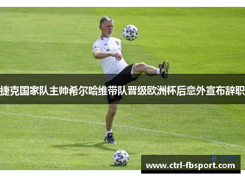 捷克国家队主帅希尔哈维带队晋级欧洲杯后意外宣布辞职 捷克国家队主帅希尔哈维带队晋级欧洲杯后意外宣布辞职